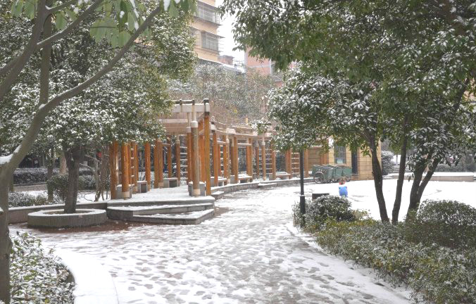 初雪逢周末，多个项目及时展开清理工作