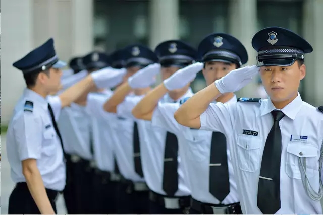 精进专业技能，共护和谐家园